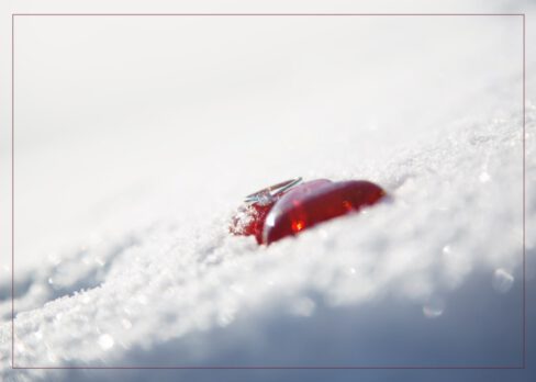 verliebt...verlobt...verheiratet...