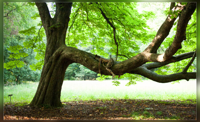 Bodypainting Fotografie