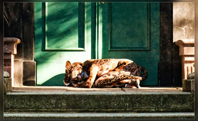 Bodypainting Fotografie