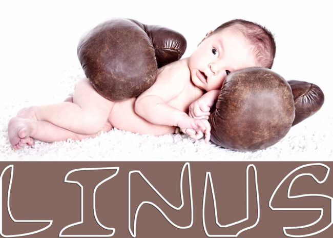 Babybauch Fotografie Story 6