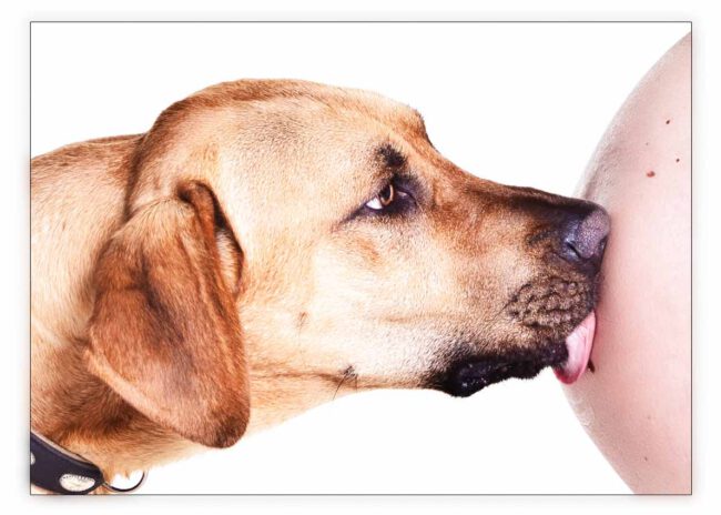 Babybauch Fotografie Story 6