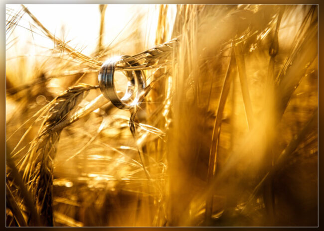 Hochzeitsfotografie Story 2