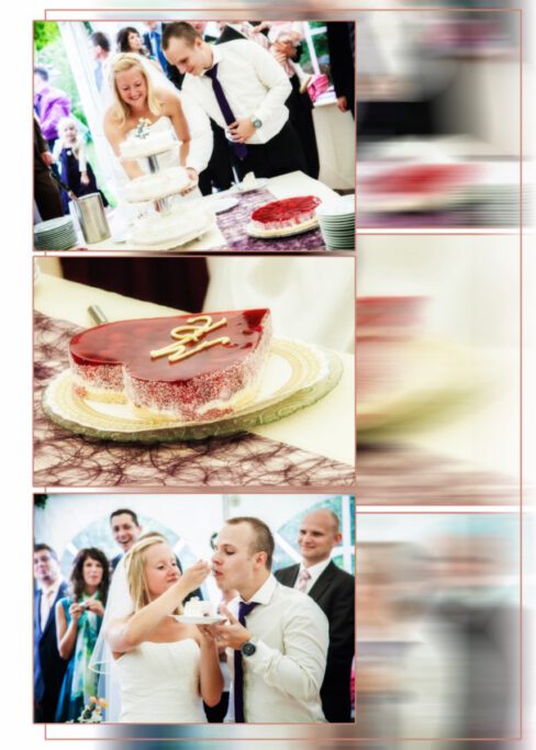 Hochzeitsschnappschüsse