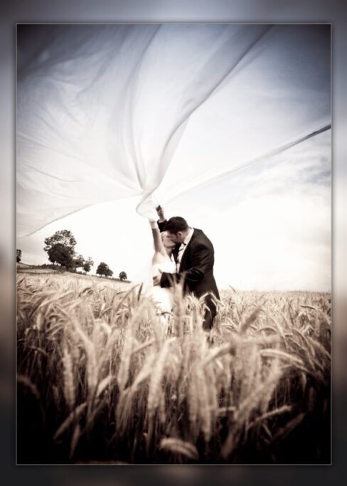 Hochzeitsschnappschüsse