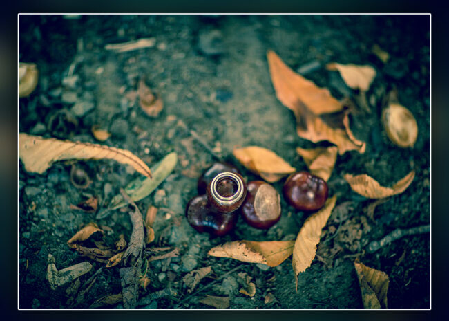 Hochzeitsfotografie Story 8