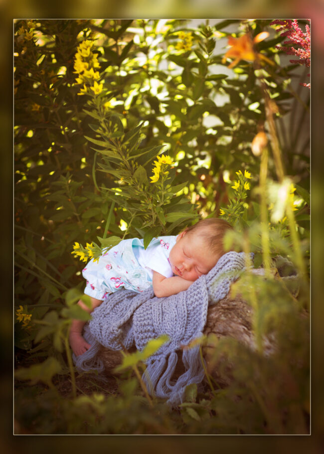 Babybauch Fotografie Story 11