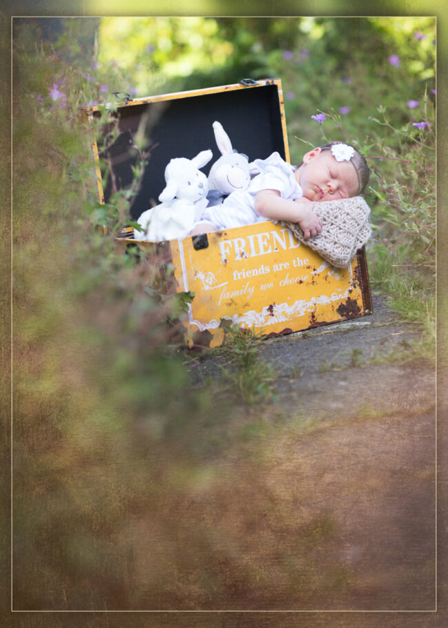 Babybauch Fotografie Story 11