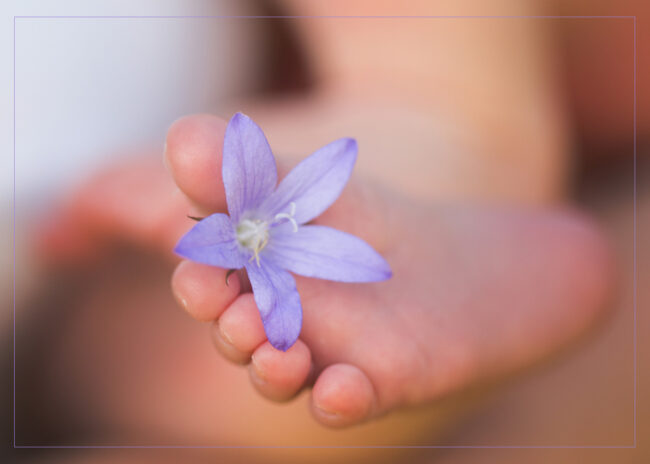 Babybauch Fotografie Story 11